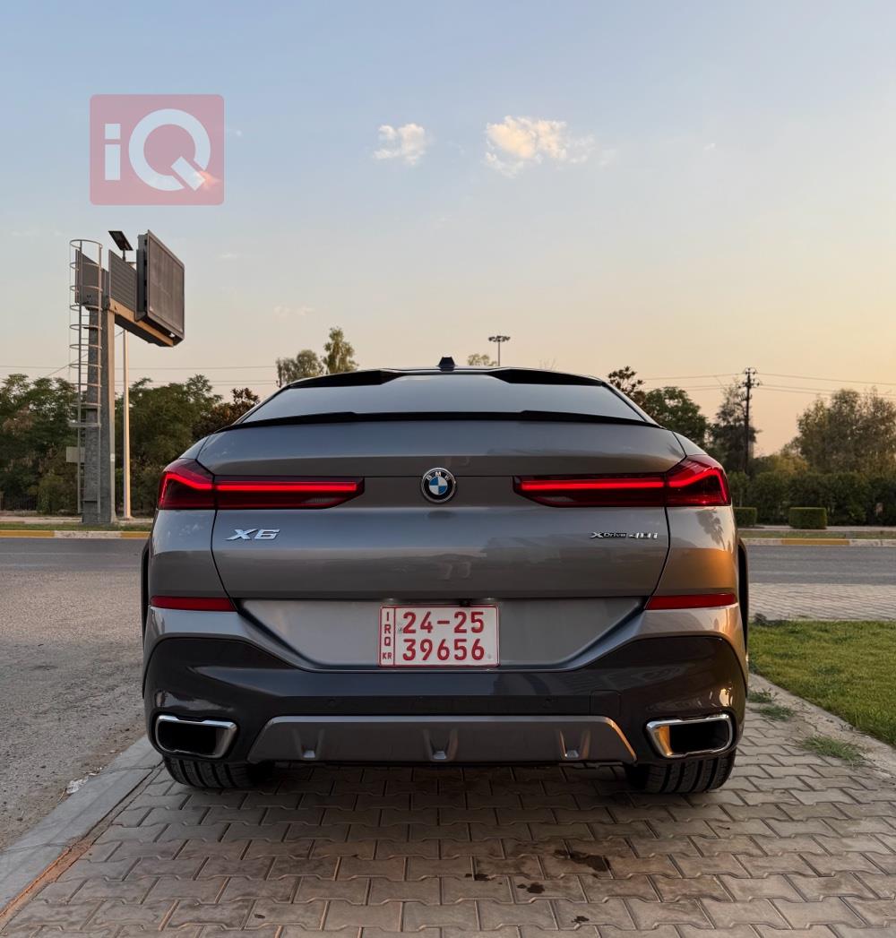 BMW X6